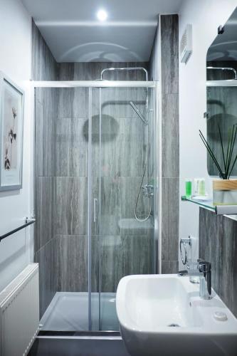 a bathroom with a shower and a sink at Borthwenbnb in Dolgellau