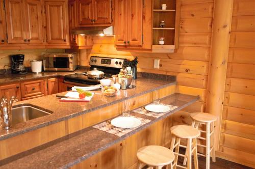 Selenia Lodge- Résidences et Chalets dans les Laurentidesにあるキッチンまたは簡易キッチン