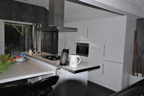 Comfortabele Vrijstaande Bungalow 3にあるキッチンまたは簡易キッチン