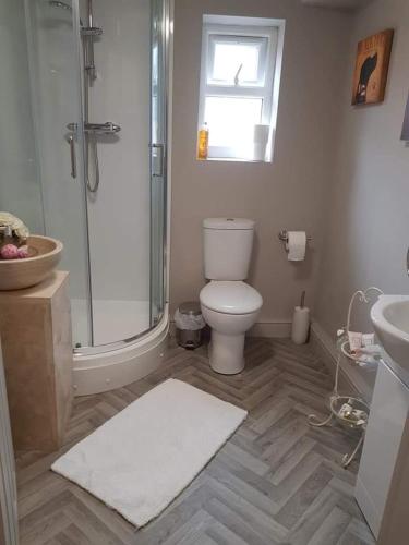 uma casa de banho com um WC, um chuveiro e um lavatório. em The Swan em Topcliffe