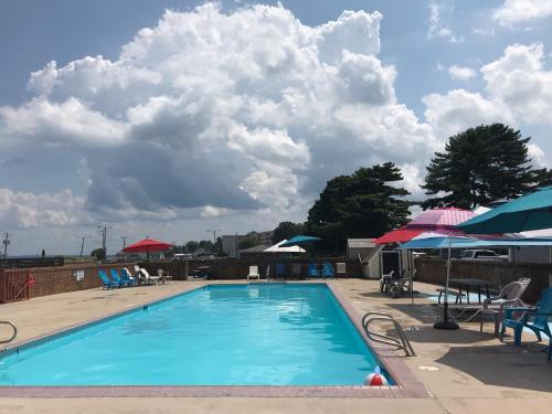 a large swimming pool with chairs and umbrellas at River Edge Inn in Colonial Beach