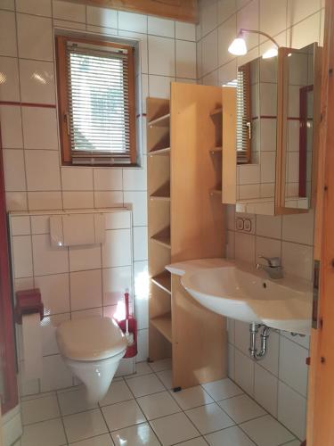 ein Bad mit einem WC und einem Waschbecken in der Unterkunft Ferienhaus Am Kauersberg in Fellen