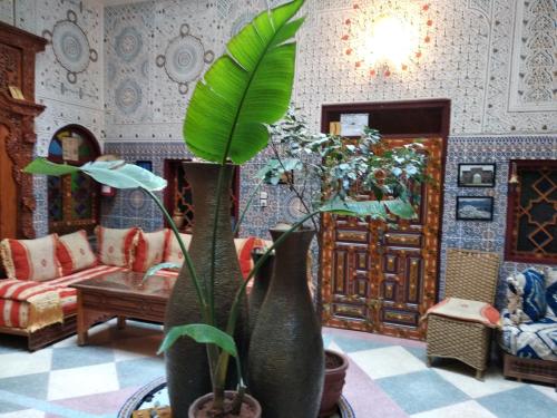 a living room with a couch and a plant at Ryad Bab Berdaine in Meknès