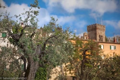 a building with a tower and trees in the foreground at Casetta sulla Bolgherese immersa nel Verde in Castagneto Carducci