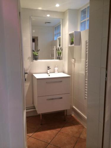 une salle de bain avec un lavabo et un miroir dans l'établissement L' Appart, à Toulouse