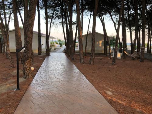 a walkway in a park with many trees at GIGLIO DI MARE Residence in Sellia Marina