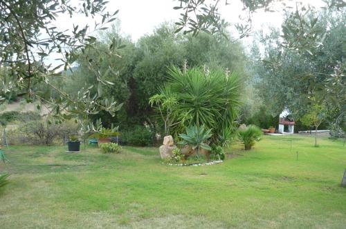 un giardino con una statua nell'erba di Ampia e graziosa Casa Vacanza a Pula