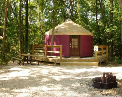 a yurt with a bench and a table in a forest at Catherine's Landing RV Resort in Hot Springs