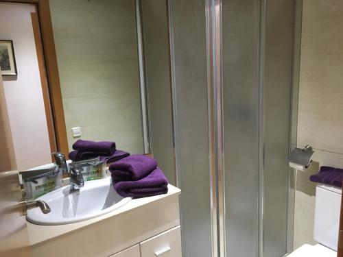 トレンプにあるEl Teu Habitatge a Tremp 1のバスルーム(シンク、シャワー、紫色のタオル付)