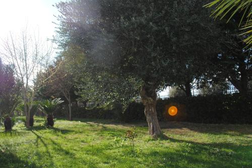 Κήπος έξω από το Agriturismo Pirro