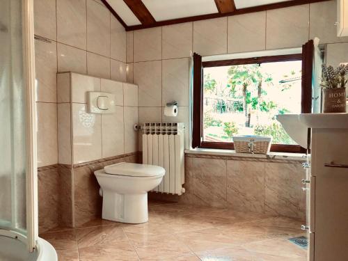 a bathroom with a toilet and a sink and a window at Apartments Petricic with swimming pool in Ičići