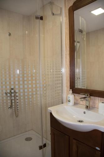 a bathroom with a shower with a sink and a shower at Vila Club Dioda in Cicanesti