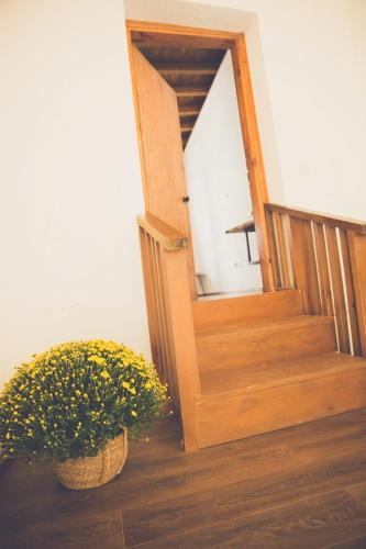 an open door with a potted plant next to a staircase at The Iskemleci Guest House in North Nicosia