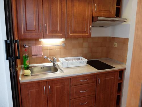 a kitchen with wooden cabinets and a sink at Apartments Sunce in Brna