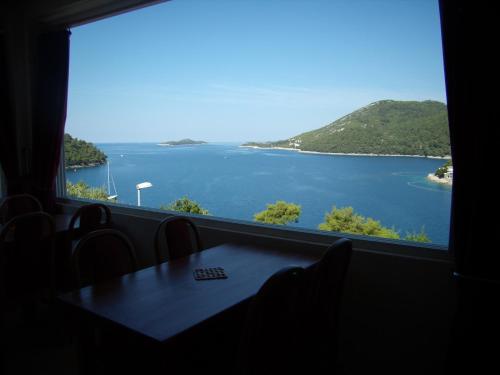 a view of a lake from a window at Apartments Sunce in Brna