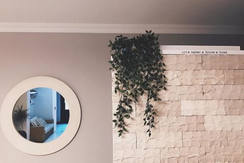a mirror on a brick wall with a plant at Il Bottone D'Argento in Gaeta
