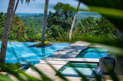 a swimming pool in the middle of a jungle with trees at Tabula Rasa Resort & Spa in Galle