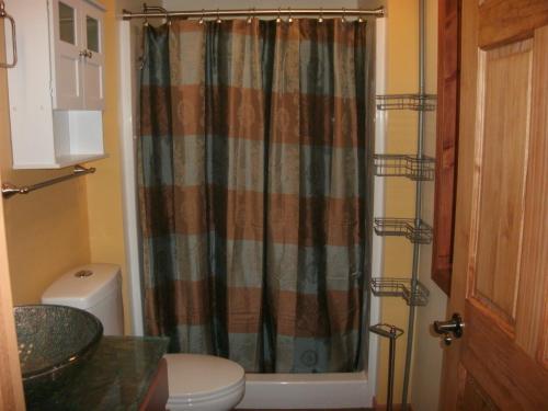 a bathroom with a shower curtain and a toilet at Cool Springs Inn in Michigan City