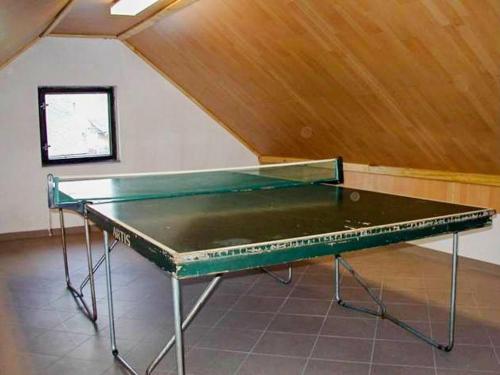 Facilități de tenis de masă la sau în apropiere de Pension U Holzäpfelů - apartmán