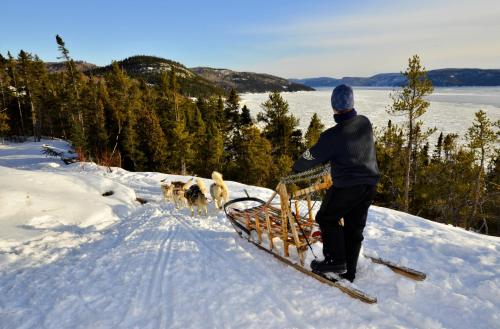 a man pulling a sled with two dogs in the snow at Centre de Vacances 5 Étoiles Family Resort in Sacré-Coeur-Saguenay