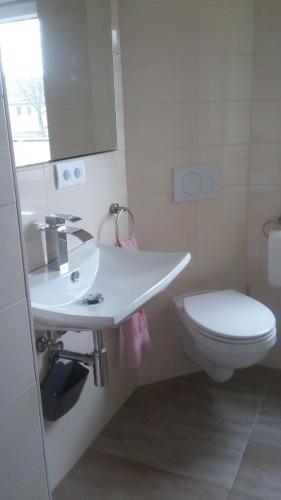 La salle de bains est pourvue d'un lavabo blanc et de toilettes. dans l'établissement Ferienwohnung ROSA, à Hahausen
