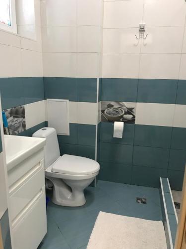 a bathroom with a toilet and a sink at Дом in Kyiv