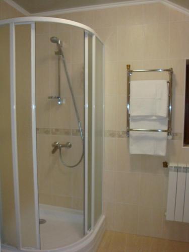 a shower with a glass door in a bathroom at Eco Sadyba Familia in Yaremche