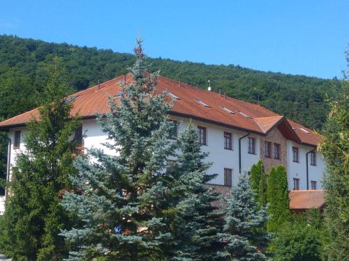Hotel Hunor 3980 Sátoraljaújhely, 25 Torzsás utca kép - 3