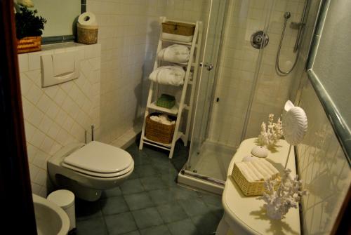 a bathroom with a shower and a toilet and a sink at Appartamento Le Corti in Pistoia