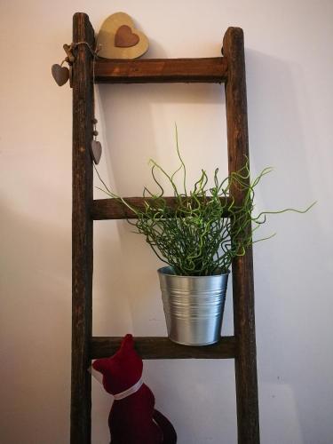 Fotografie z fotogalerie ubytování Casa Michela v destinaci Vico del Gargano