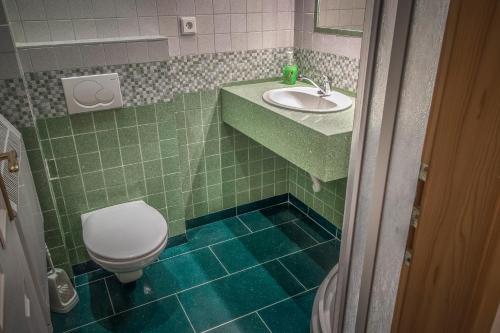 uma casa de banho com um WC e um lavatório em Pension Palla em Svojanov