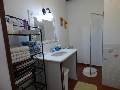 ein Bad mit einem Waschbecken und einer Dusche in der Unterkunft Casa Vacanze Sole in Borghetto dʼArroscia