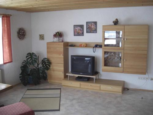 a living room with a television on a wooden entertainment center at Ferienwohnung Seidl in Waffenbrunn