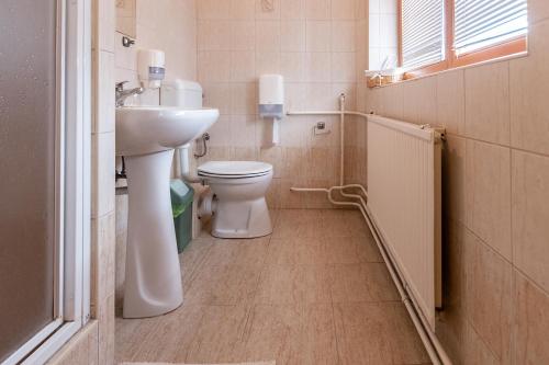 a bathroom with a toilet and a sink at Il Gallo Nero - Fekete Kakas Étterem és Panzió in Szombathely