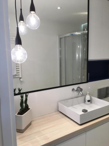 ジブヌベクにあるApartament Leśne Tarasyのバスルーム(白い洗面台、大きな鏡付)