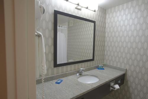 La salle de bains est pourvue d'un lavabo et d'un miroir. dans l'établissement Holiday Inn Express Anderson I-85 - Exit 27- Highway 81, an IHG Hotel, à Anderson