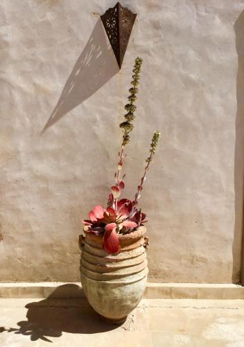 a vase with a potted plant in it at Dar Alya Essaouira Maison et table d'hôtes in Ghazoua