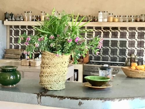 a vase filled with flowers on a counter in a kitchen at Dar Alya Essaouira Maison et table d'hôtes in Ghazoua