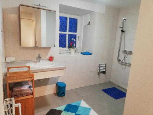 ein Bad mit einem Waschbecken und einer Dusche in der Unterkunft Ferienwohnung Andrea in Bad Mitterndorf