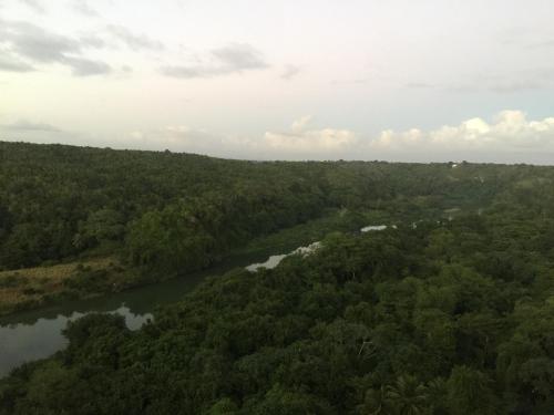 an aerial view of a river and trees at B&B Villa Luna in Bayahibe