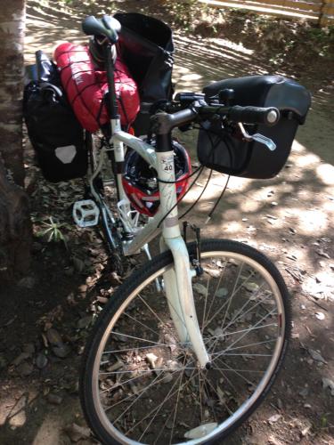 a bike parked on the ground next to a tree at Eco-Cabañas Quetroleufu in Pucón