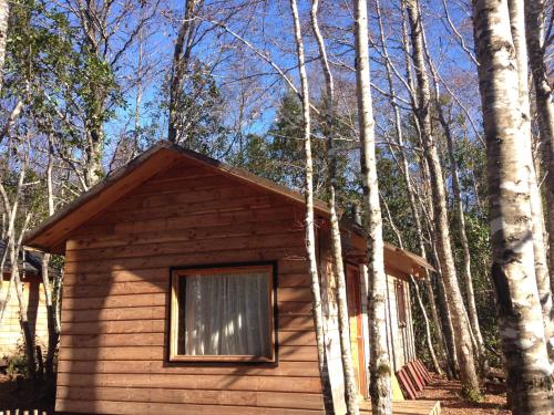 a small cabin in the woods with a window at Eco-Cabañas Quetroleufu in Pucón