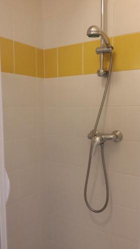 a shower with a shower head in a bathroom at Au Pigeon Blanc in Andouillé