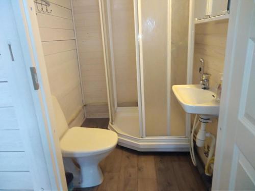 a bathroom with a shower and a toilet and a sink at Pirttiniemen Lomakylä in Muurasjärvi