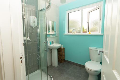 La salle de bains bleue est pourvue de toilettes et d'un lavabo. dans l'établissement PondeROSEa Cottage Free Gated Parking M1 & City location, wood stove, à Lisburn