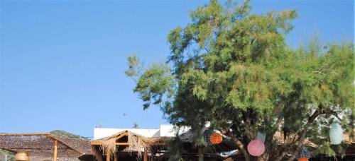 Gallery image of Puerto Seaside Rooms in Akhladherí