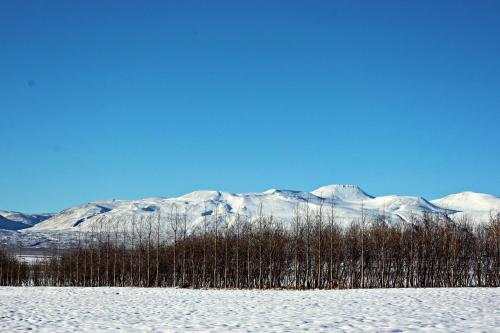 a snow covered mountain range with trees in the foreground at Frostastaðir Guesthouse in Varmahlid