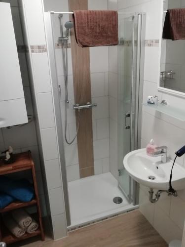 a bathroom with a shower and a sink at Leichte Brise in Greetsiel