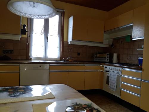 een keuken met gele kasten, een wastafel en een raam bij Ferienwohnung Zentrumsnah in Esslingen