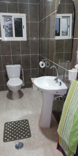 a bathroom with a sink and a toilet and a mirror at Heather's Retreat in Brufut